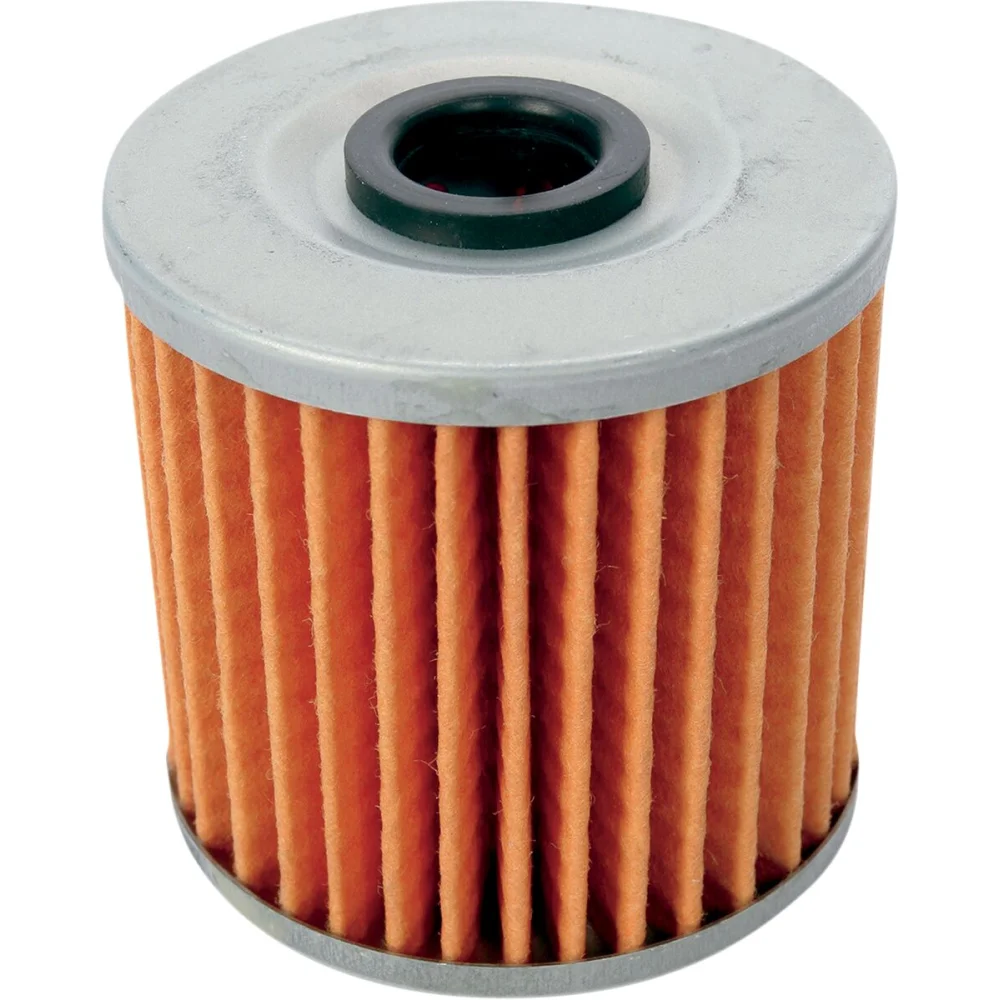 Filtro Olio Twin Air