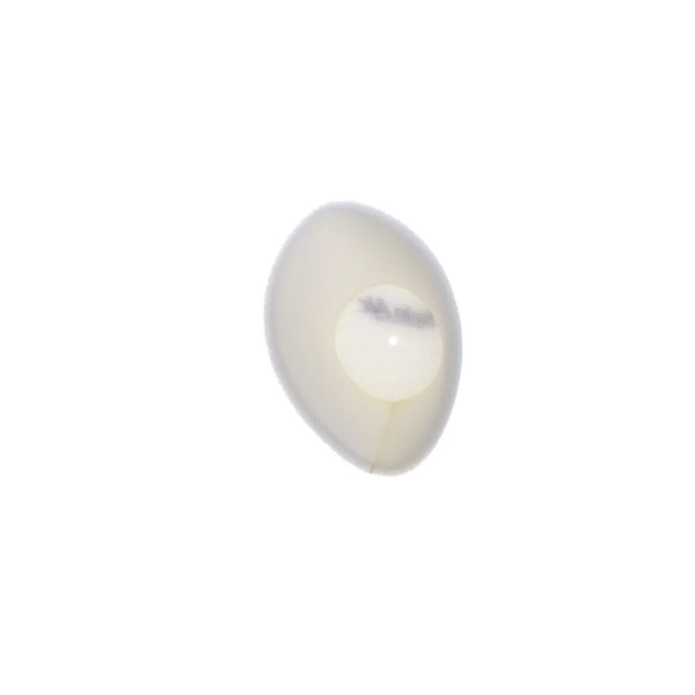 Coprifiltro Aria Antipolvere Twin Air - 2
