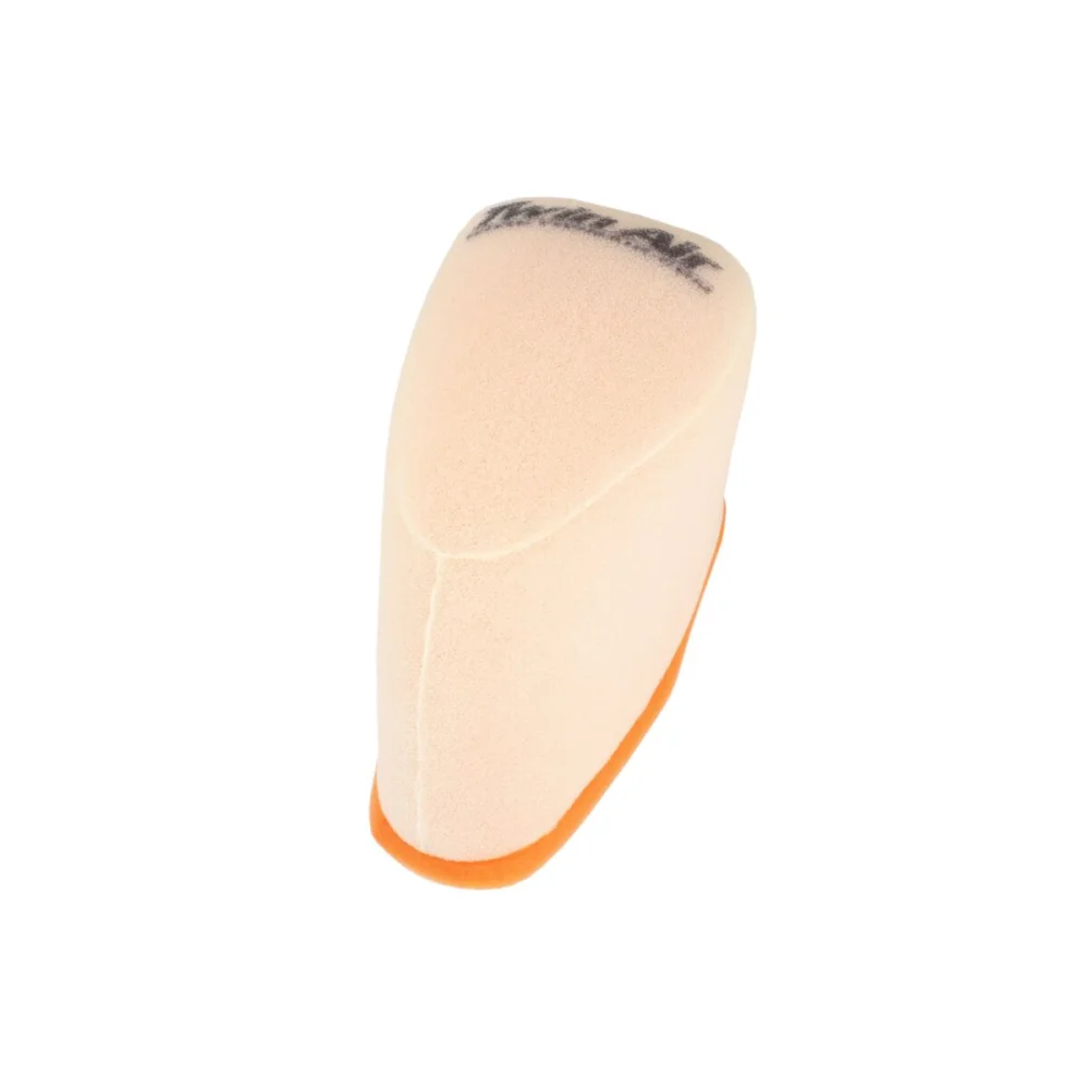 Filtro Aria Standard Twin Air