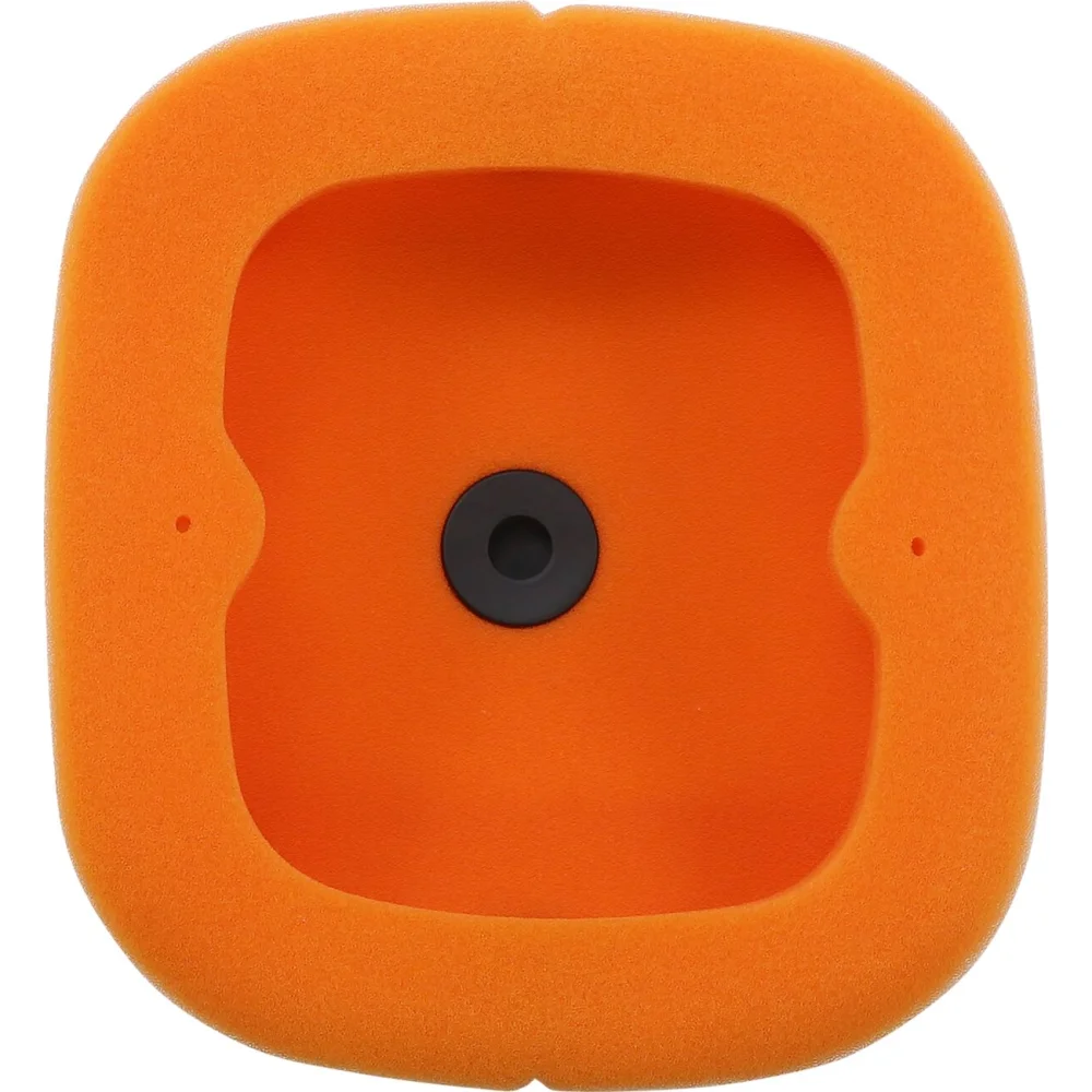 Filtro Aria Standard Twin Air - 2