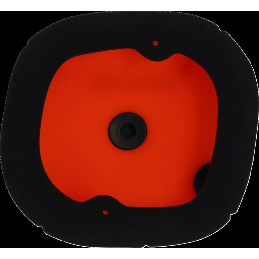Filtro Aria Standard Twin Air - 4