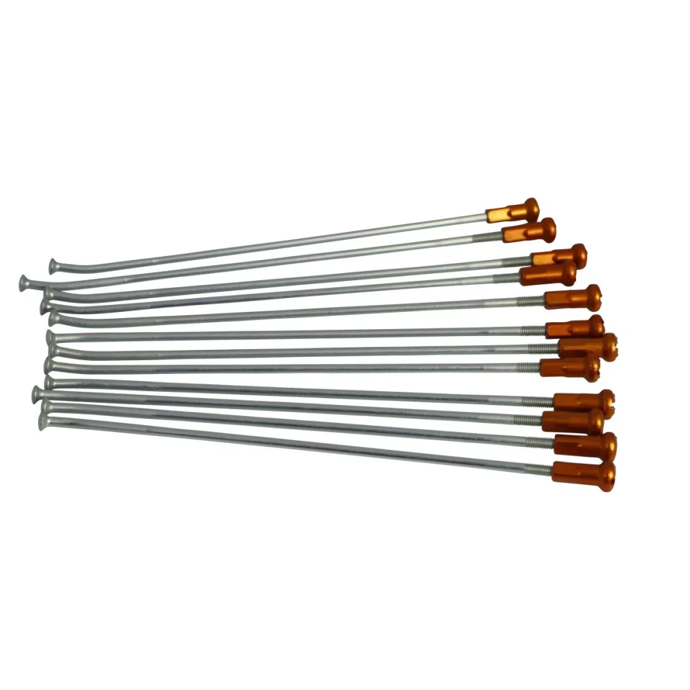 Kit Sostituzione Raggi E Nippli Posteriore Steel Kite