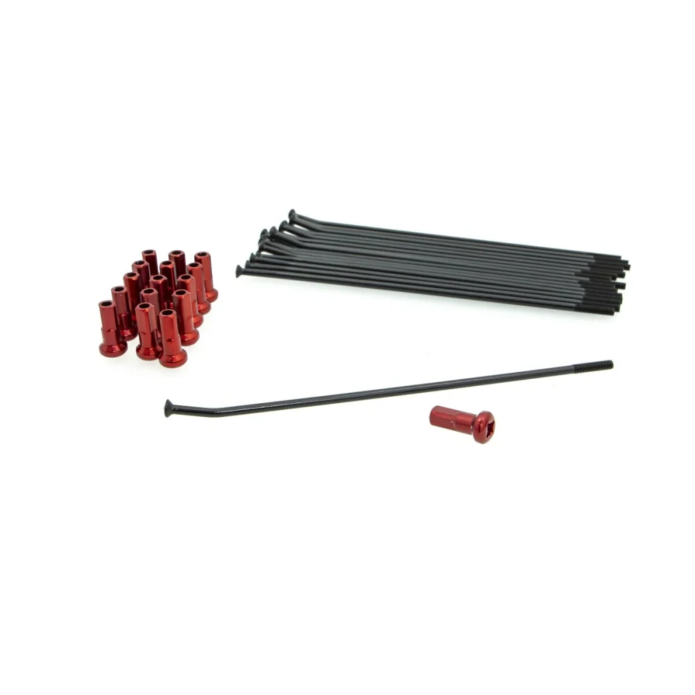 kit-sostituzione-raggi-e-nippli-kite-209221RO