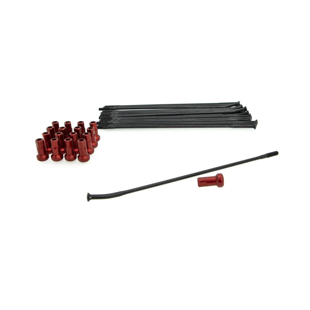 Kit Sostituzione Raggi E Nippli Steel Kite