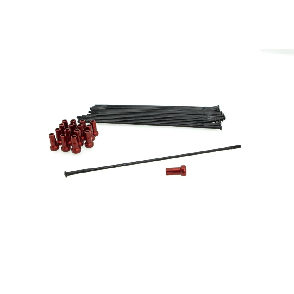 kit-sostituzione-raggi-e-nippli-kite-209261RO