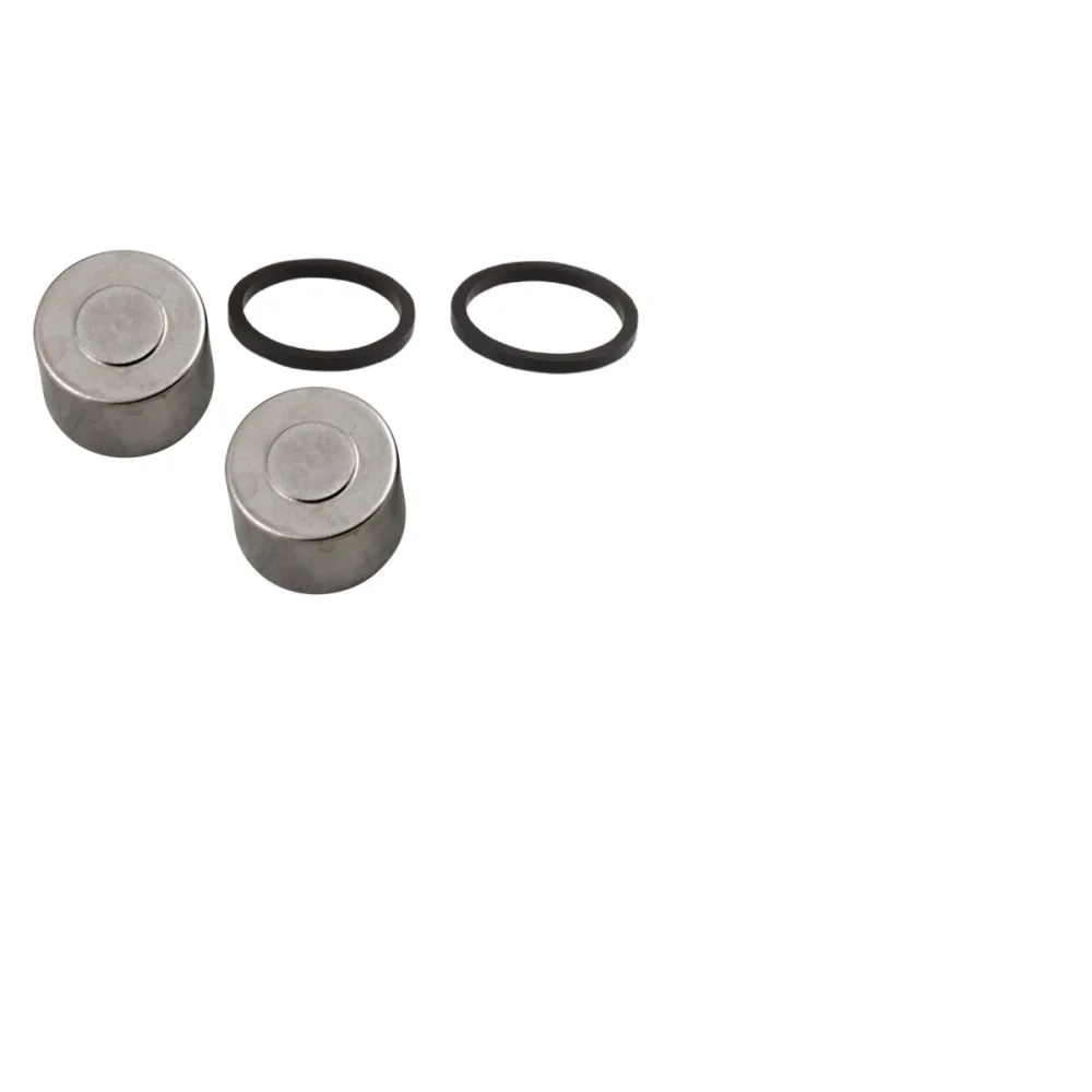 Kit Revisione Pistone Pinza Anteriore Moto Master