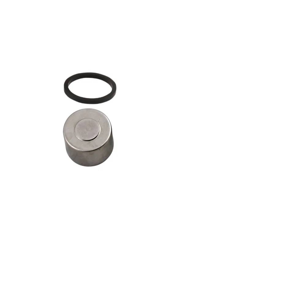 Kit Revisione Pistone Pinza Posteriore Moto Master