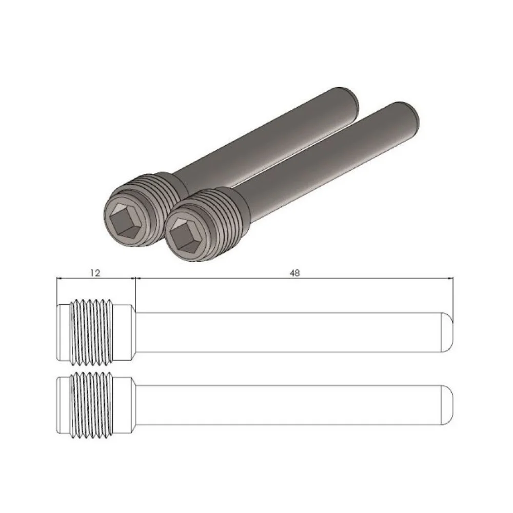 Perno Pastiglia Freno Anteriore Stainless Steel Moto Master