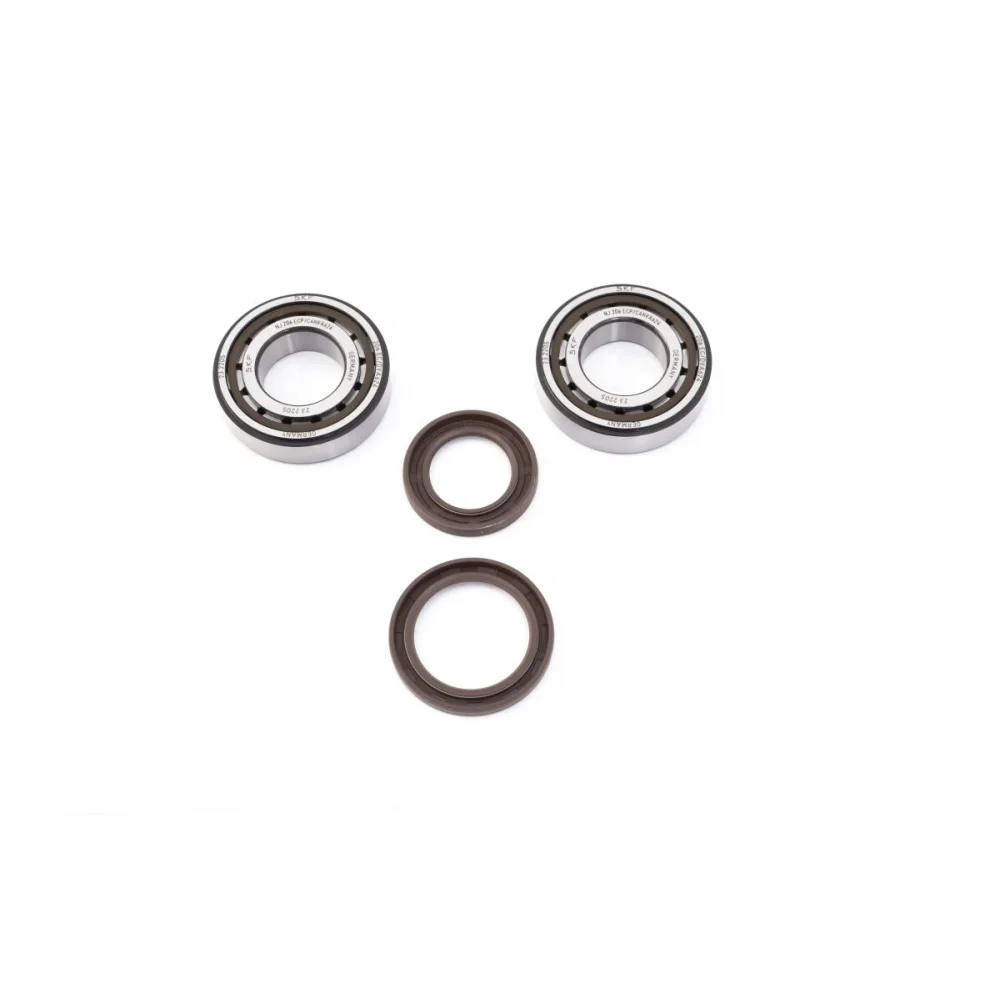 Kit Paraolio E Cuscinetti Albero Motore Prox - 2