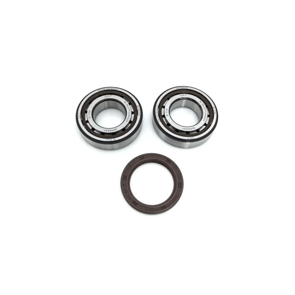 Kit Paraolio E Cuscinetti Albero Motore Prox