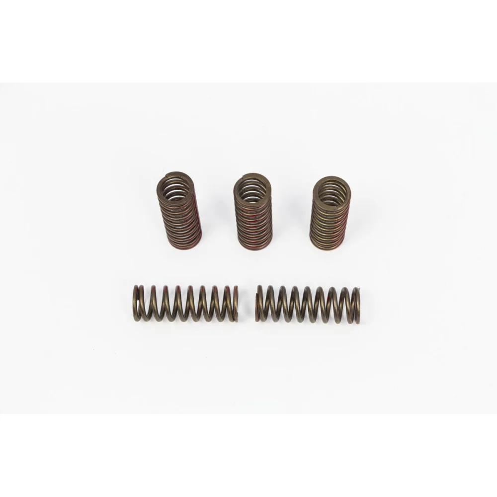 Set Molle Frizione Bronze Pro Circuit - 1
