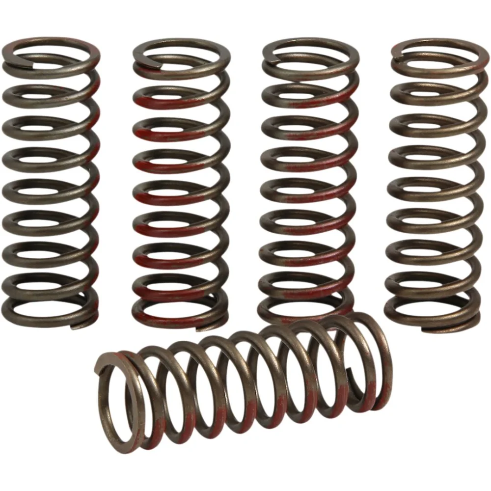 Set Molle Frizione Bronze Pro Circuit - 2