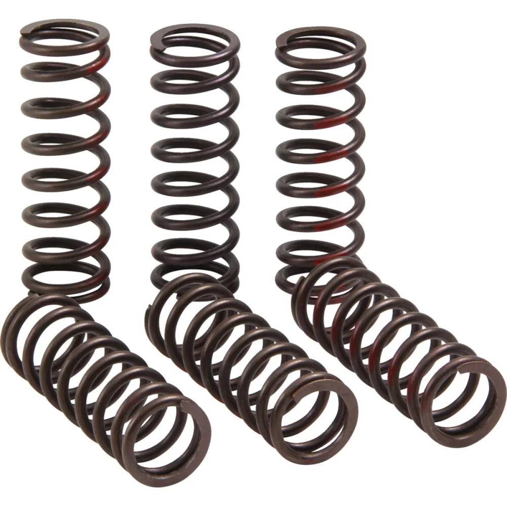 Set Molle Frizione Pro Circuit - 2
