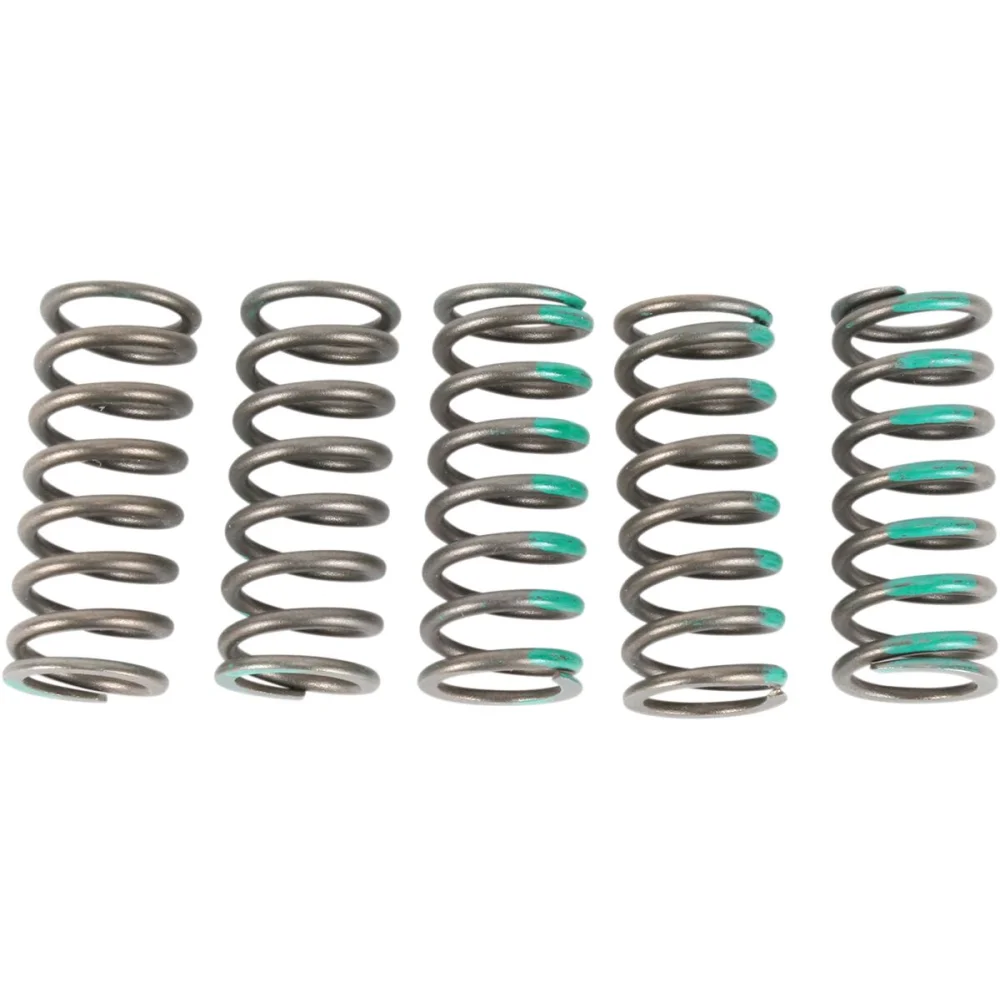 Set Molle Frizione Pro Circuit