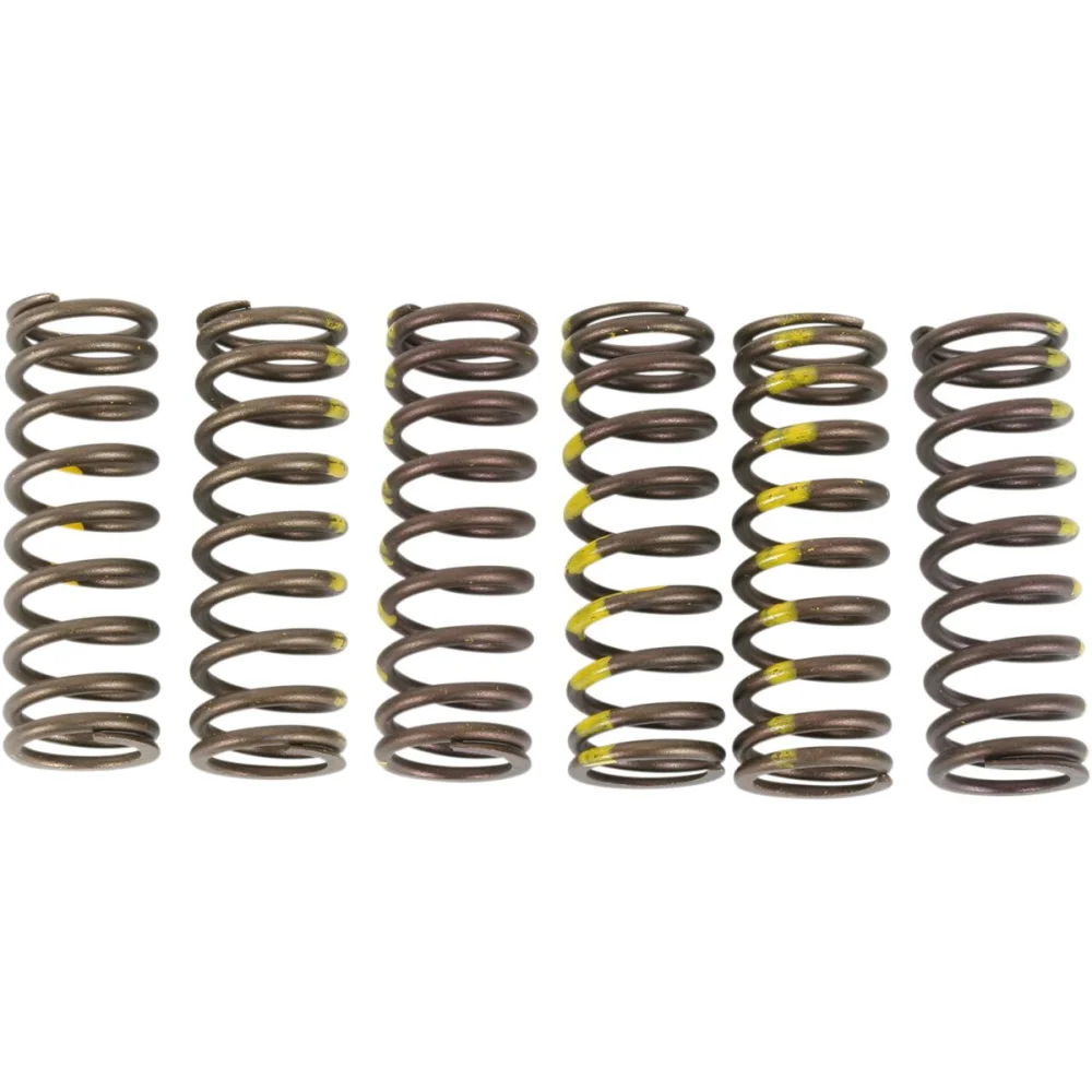Set Molle Frizione Pro Circuit