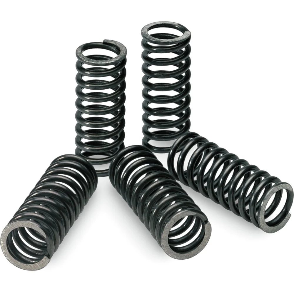 Set Molle Frizione Pro Circuit - 2